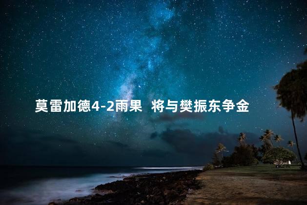 莫雷加德4-2雨果  将与樊振东争金